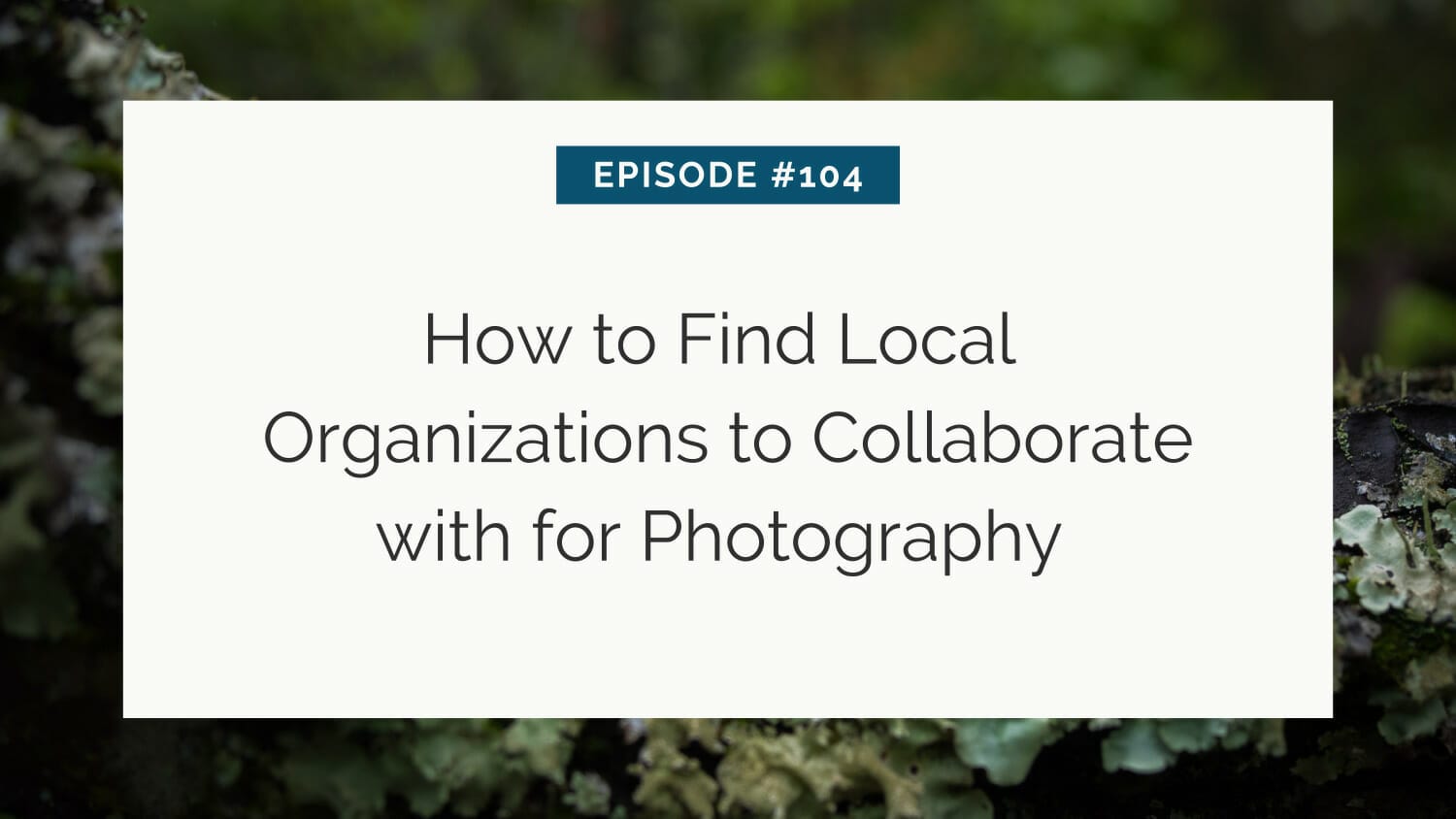Title slide for episode #104 about finding local organizations to collaborate with for photography, set against a blurred natural background.