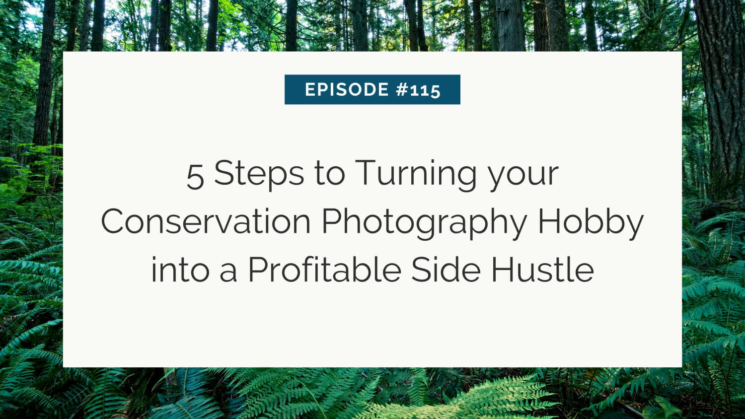 Episode #115: 5 steps to turning your conservation photography hobby into a profitable side hustle, set against a forest backdrop.