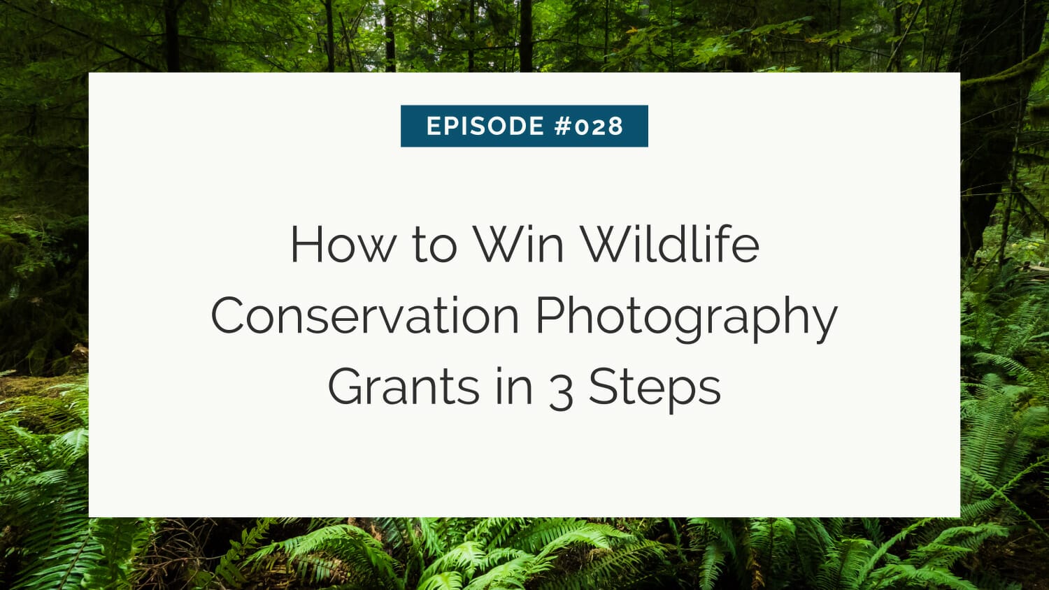 Podcast episode graphic detailing a three-step guide on winning wildlife conservation photography grants, set against a lush forest background.
