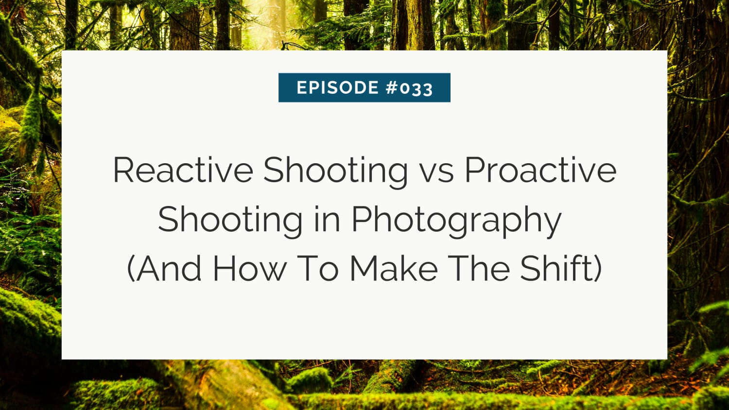 Podcast episode cover with the title "reactive shooting vs proactive shooting in photography (and how to make the shift)" for episode #033, set against a vibrant forest background.