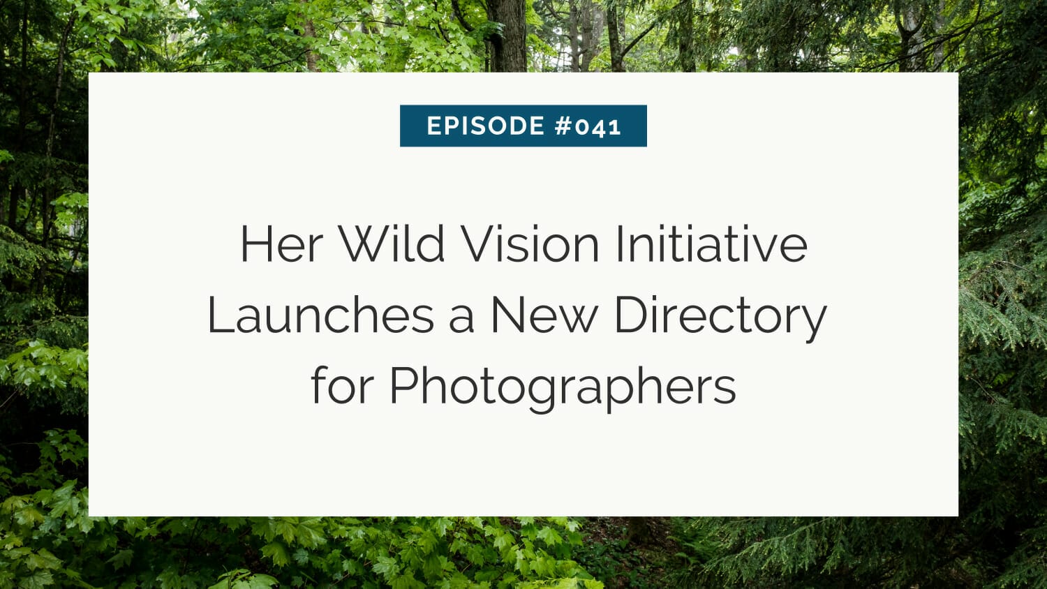 Episode #041: her wild vision initiative launches a new directory for photographers set against a backdrop of lush green foliage.