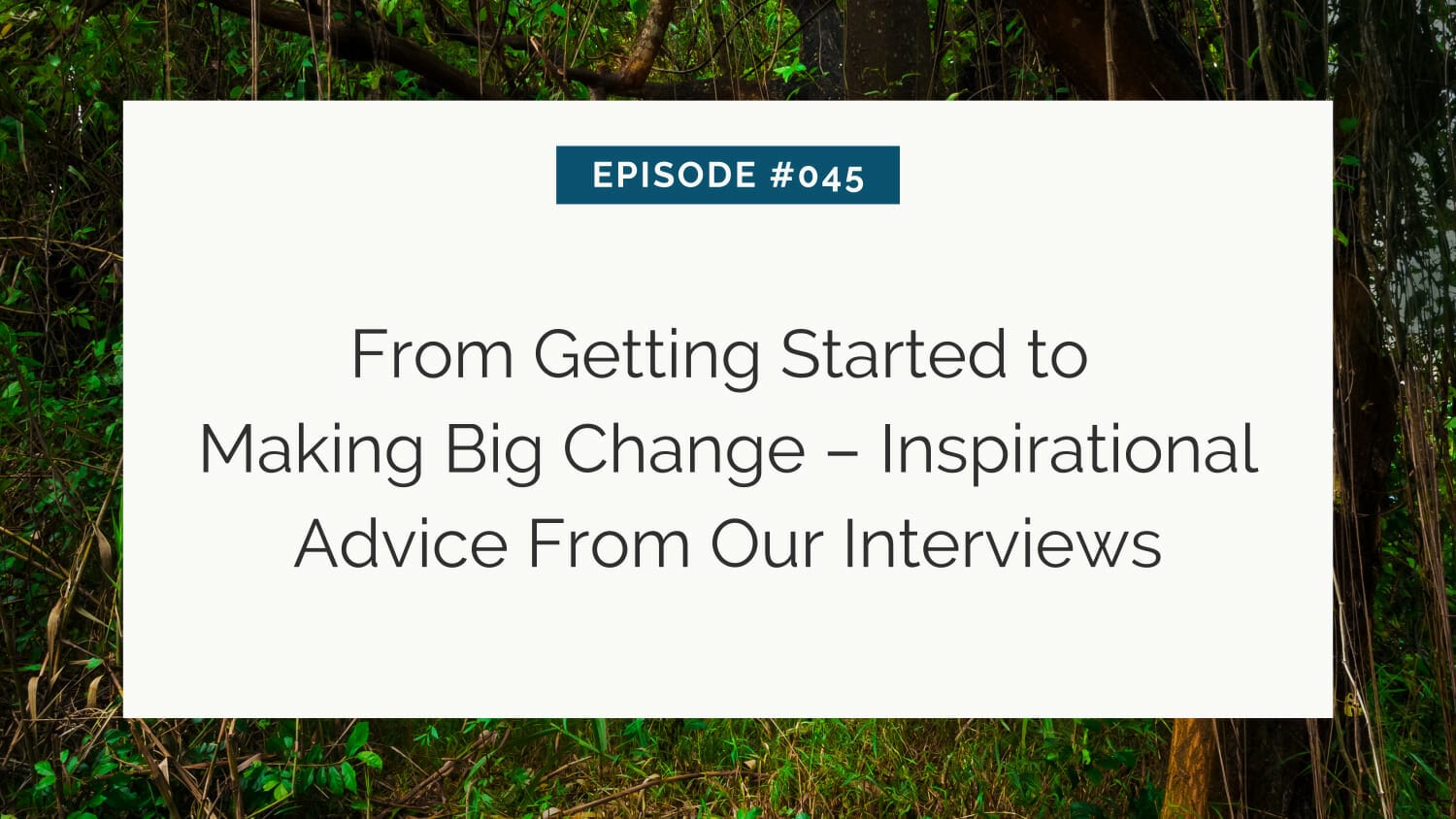 A promotional graphic for episode #045 titled "from getting started to making big change – inspirational advice from our interviews" against a forest background.