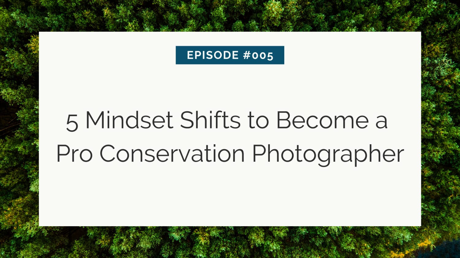 Episode #005: 5 mindset shifts to become a pro conservation photographer, displayed over a background of lush green foliage.