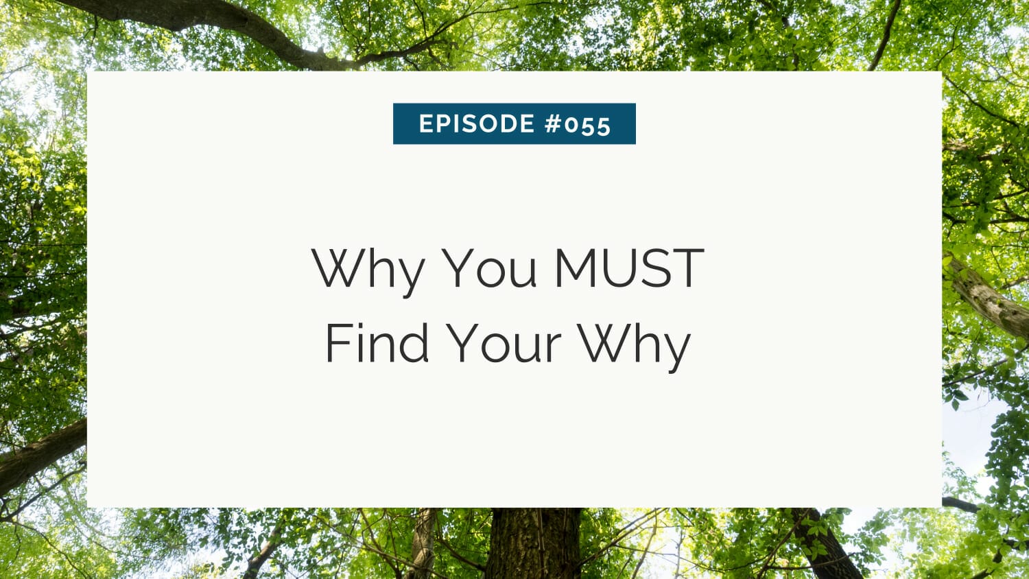 A promotional graphic for a content episode titled "why you must find your why," set against a backdrop of tree foliage.