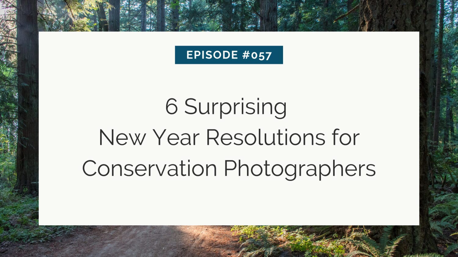 Episode #057: 6 surprising new year resolutions for conservation photographers displayed on a board in a forest setting.