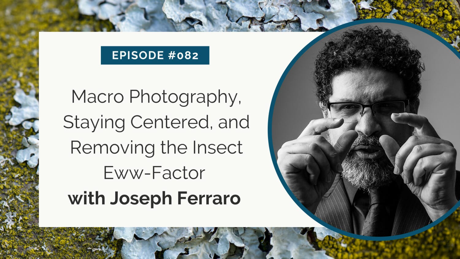 Podcast episode #082: a discussion on macro photography and overcoming discomfort with insects featuring joseph ferraro.