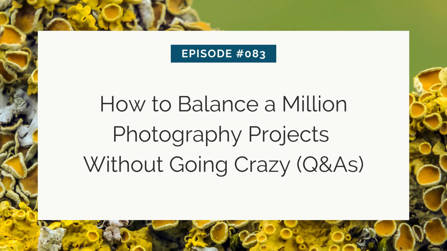 Podcast episode 083: tips on managing multiple photography projects effectively.
