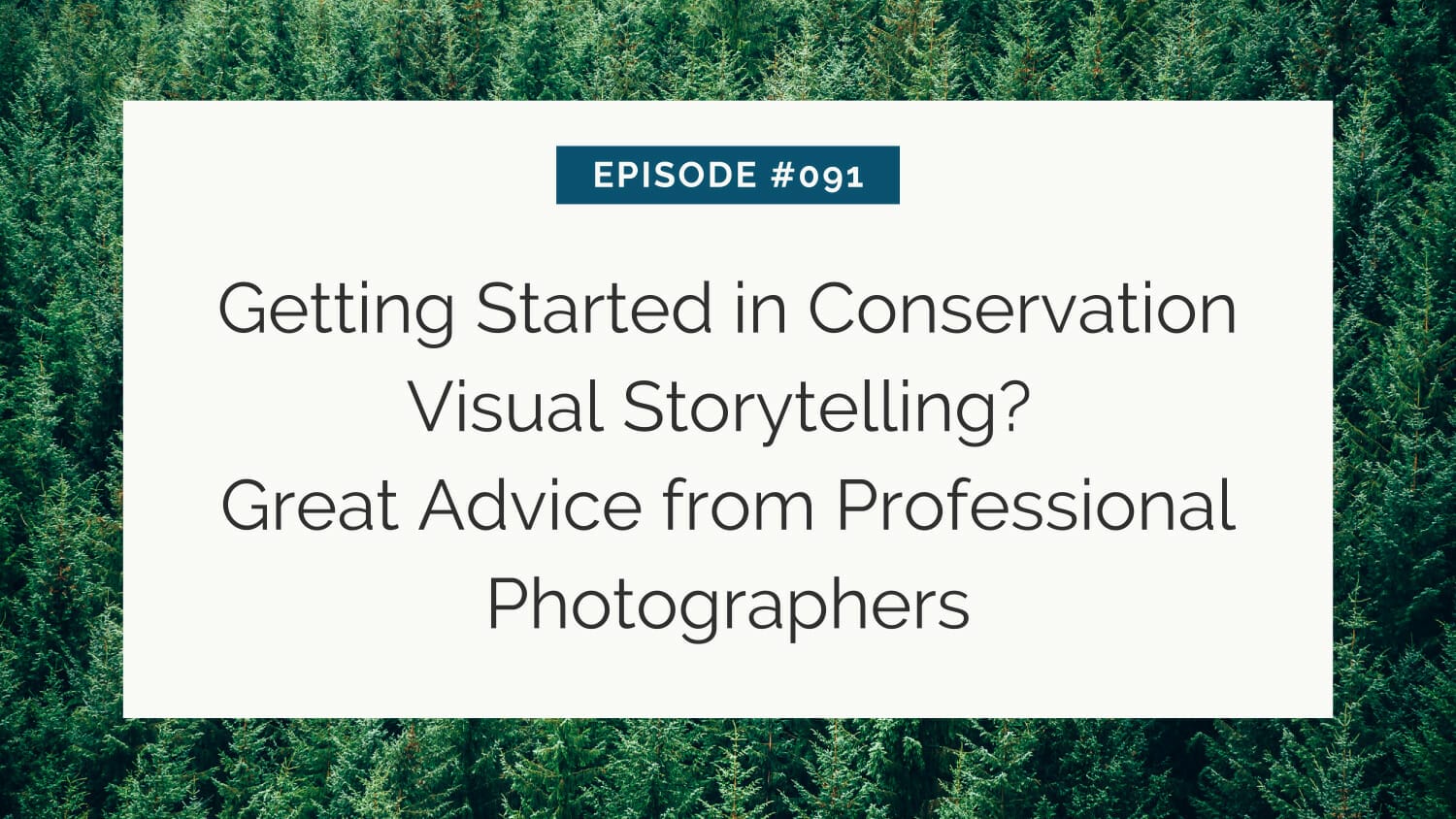 Aerial view of a dense forest with overlay text about an episode on conservation visual storytelling advice from professional photographers.
