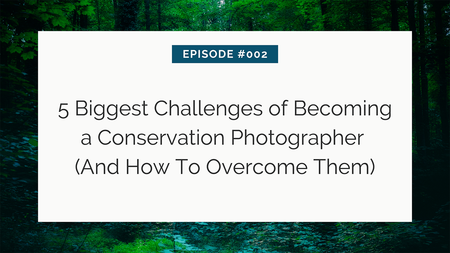 Episode #002 - discussing the top five challenges faced by conservation photographers and offering solutions to overcome them.