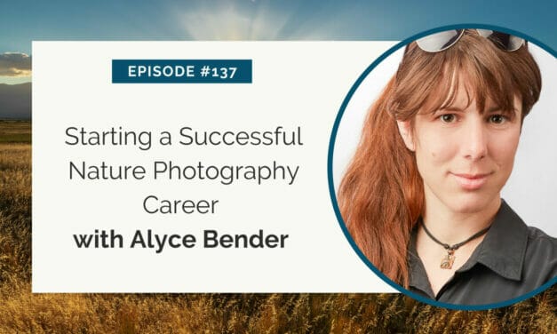 Podcast episode 137: starting a successful nature photography career with alyce bender.