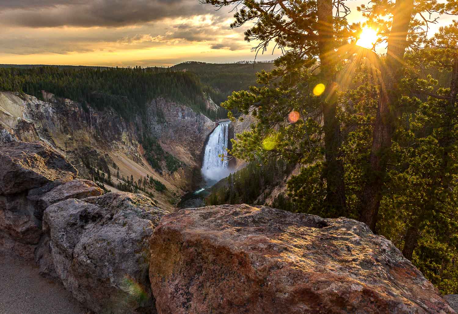 guided photography tours yellowstone