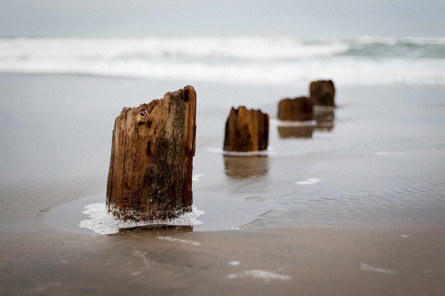 Weathered wooden posts on a sandy beach with waves in the background.