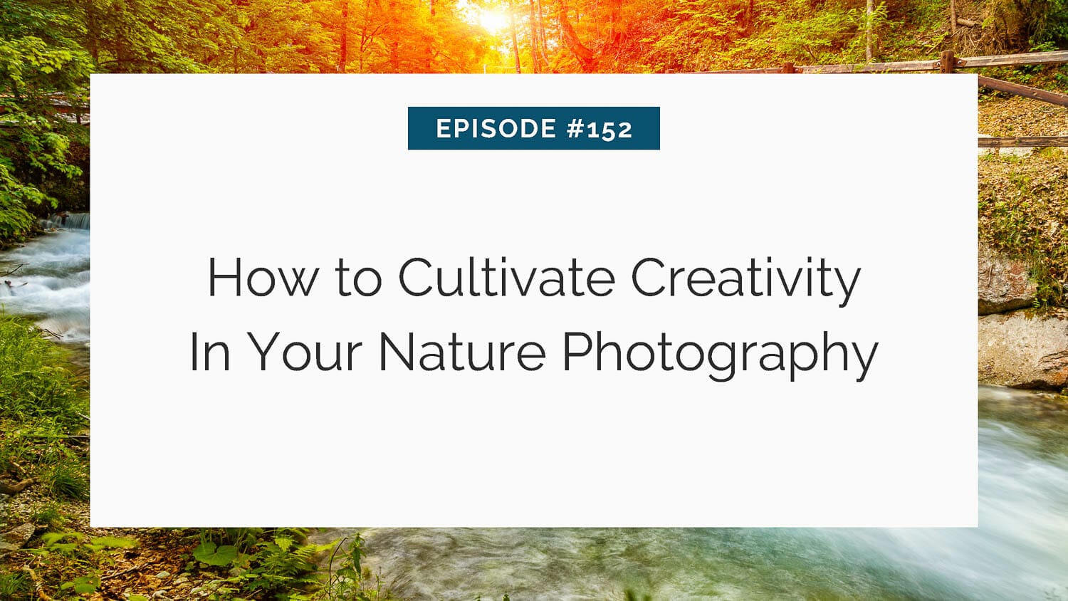 Podcast episode title on nature photography against a forest stream backdrop.