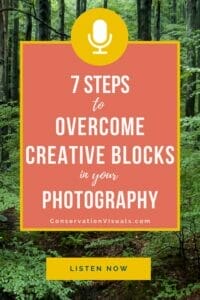 A promotional graphic for an audio resource offering seven steps to overcome creative blocks in photography set against a forest background.