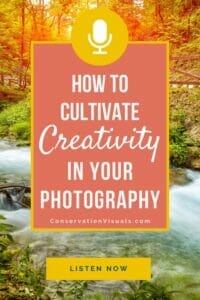 Promotional poster for a podcast episode titled "how to cultivate creativity in your photography" from conservationvisuals.com, featuring a background image of a forest and stream.