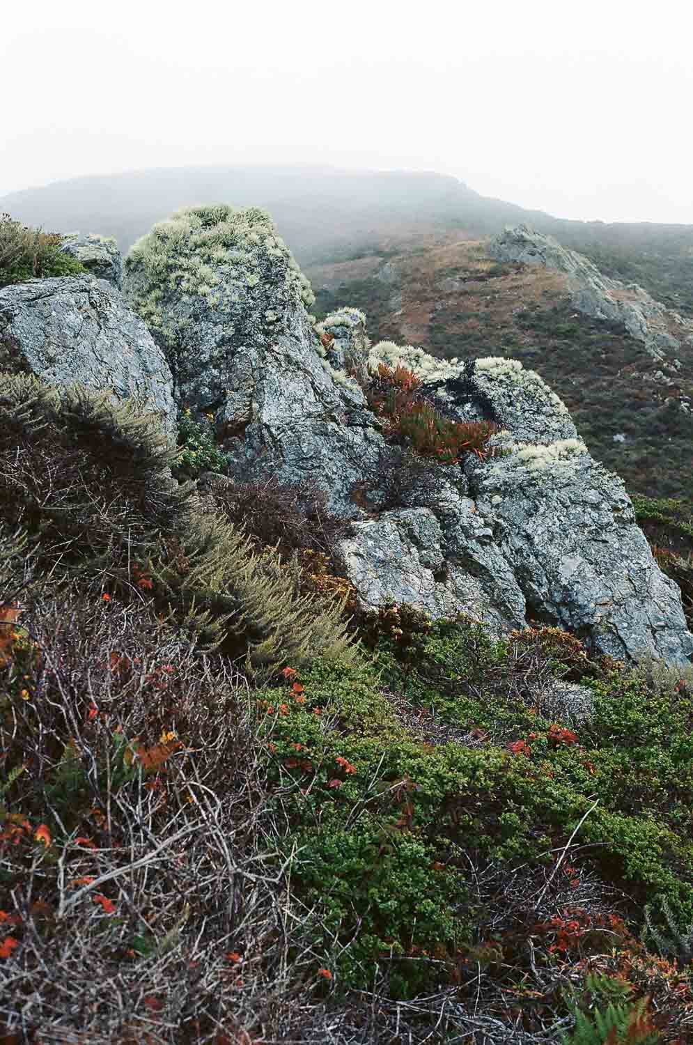 Rugged hillside with rocky outcrops and varied vegetation.