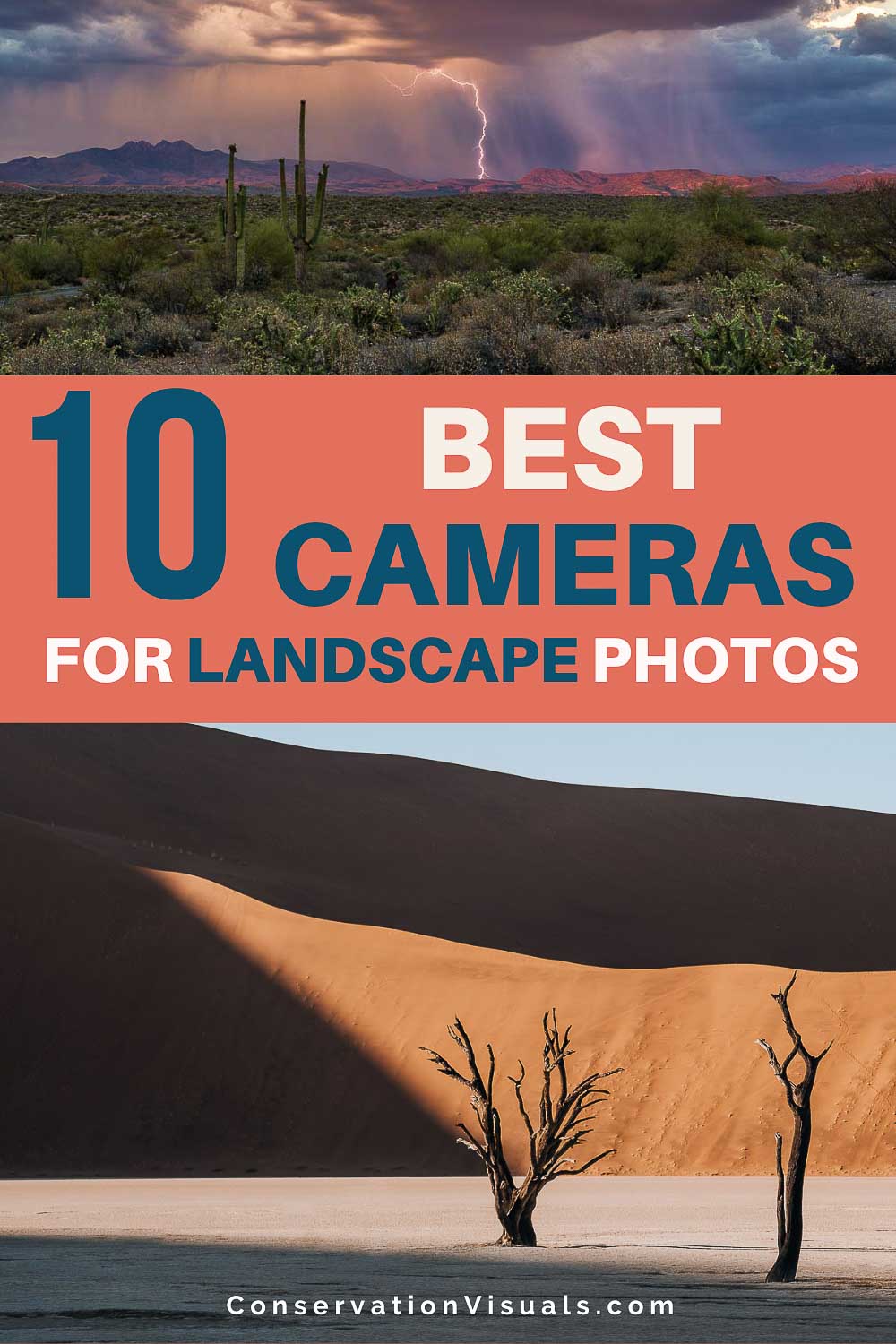 Best Cameras For Landscape Photography (2024)