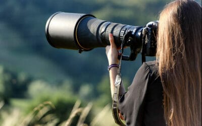 Choosing the Best Lenses for Wildlife Photography (2024)