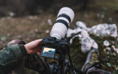 Best Cameras for Wildlife Photography in 2024 (Plus How To Choose)