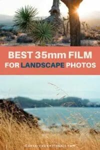 Guide to the best 35mm film for capturing landscape photography.
