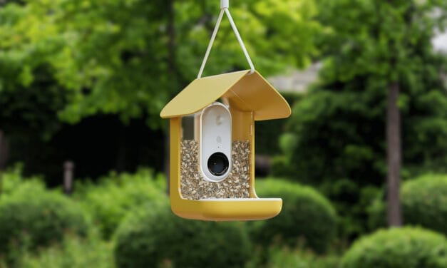 A yellow birdhouse feeder hanging outdoors with a greenery backdrop.