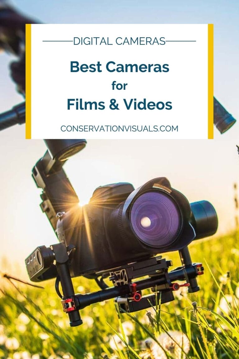 Best Cameras For Video And Filmmaking (2024)