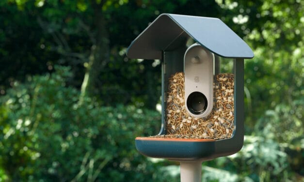 Outdoor bird feeder filled with seeds against a green foliage background.