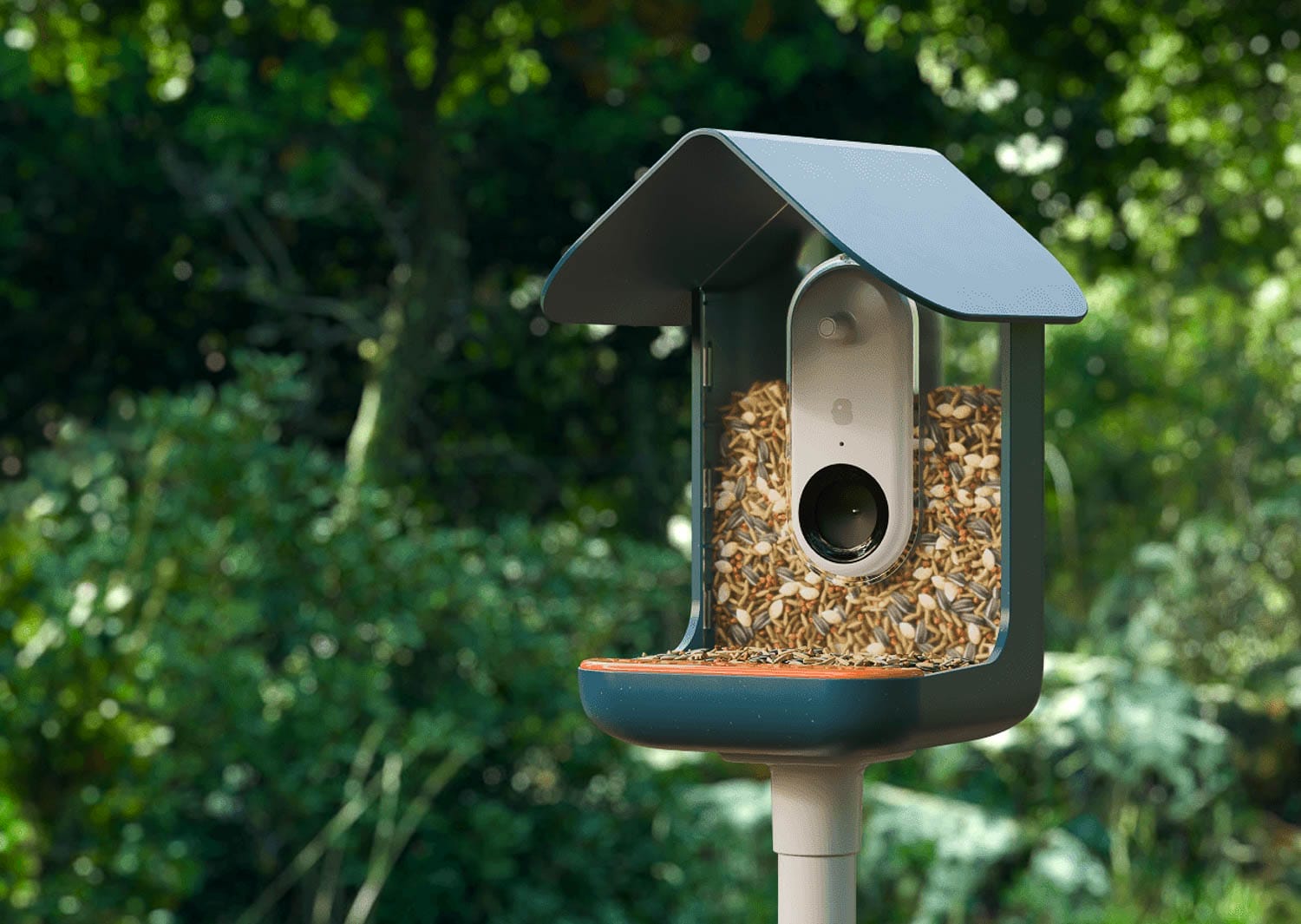 Bird Buddy Review This Smart Bird Feeder Changes How You Think