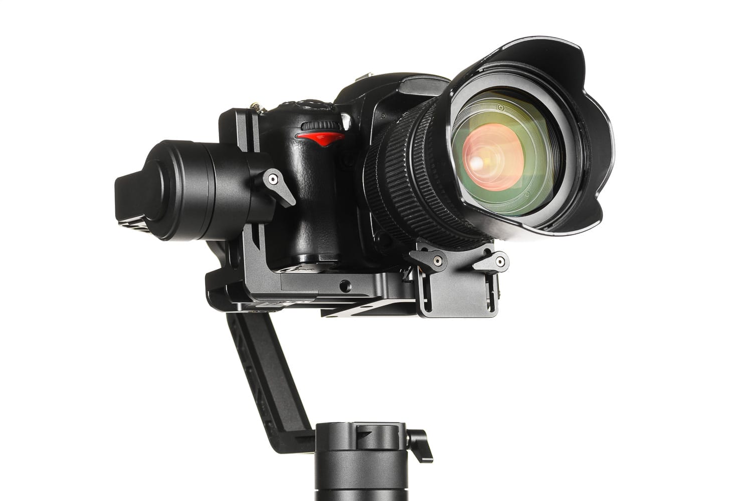 Camera on sale gimbal