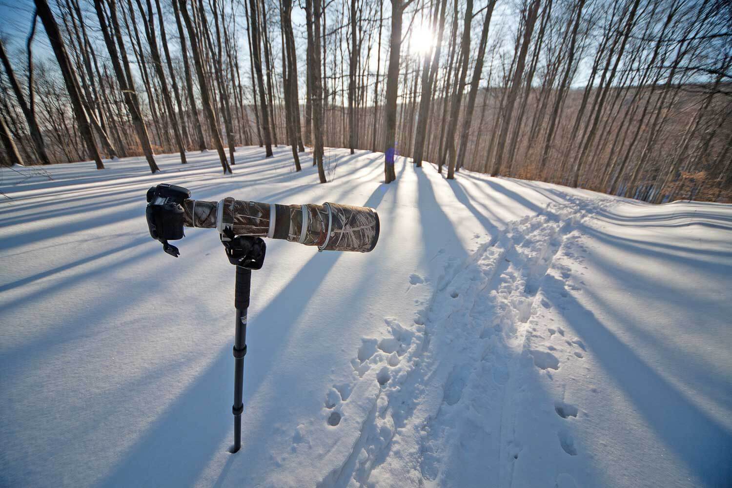 Best Monopod For Photography In 2024 (Plus How To Choose)