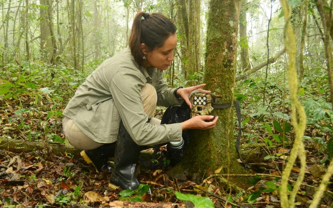 How to Aim Your Trail Camera for Best Wildlife Shots